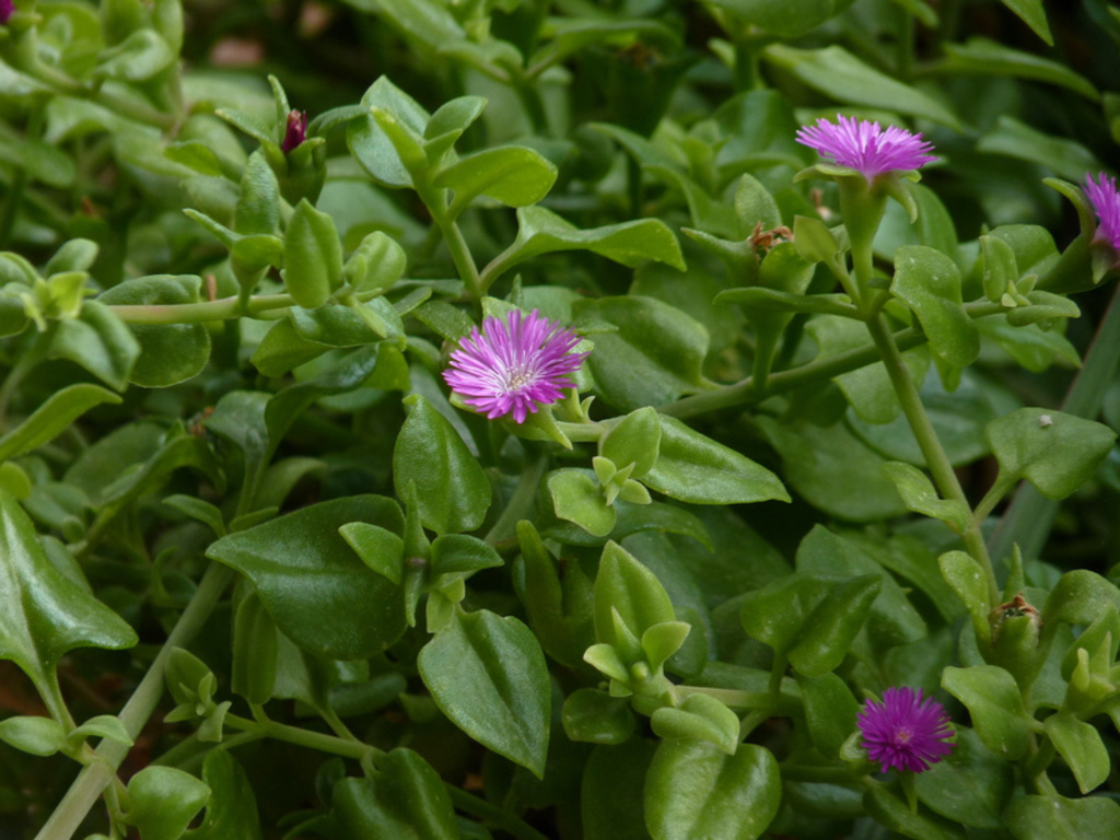 No s'ha trobat l'arxiu